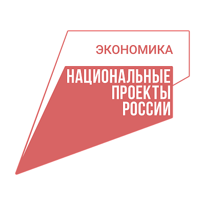 Национальные проекты (Экономика)